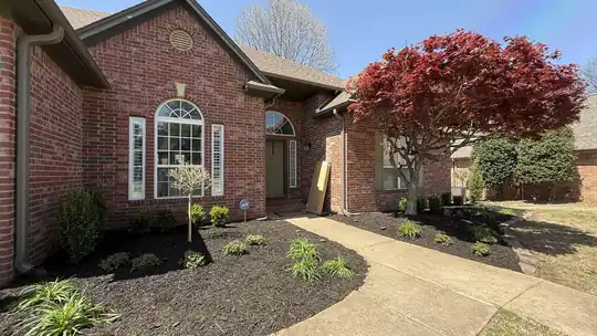 New dark mulch beds and young shrubs across the front of a brick ranch home with a red maple