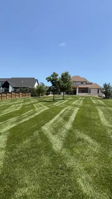 Tall view of a chevron-striped lawn with neighborhood homes behind it